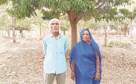 निसंतान दंपती ने बंजर जमीन पर उगाया दस हजार वृक्षों का वन