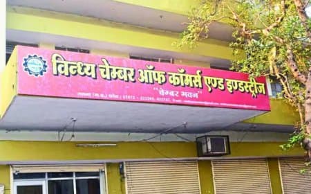 विंध्य चेम्बर चुनाव में राजनीति की मजबूत मौजूदगी, कई दिग्गज मतदाता शामिल