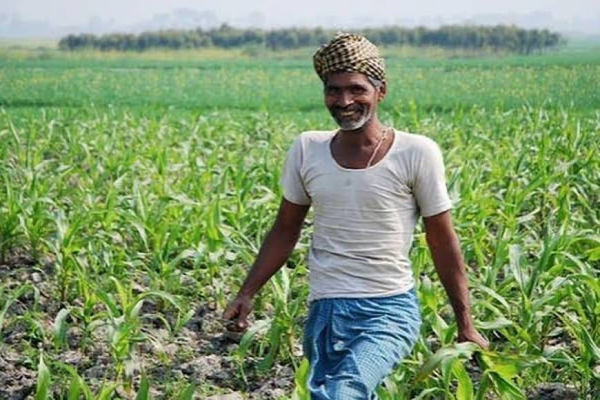 मध्यप्रदेश की बड़ी उपलब्धि: एक साथ 12 उद्यानिकी फसलों को मिला GI टैग