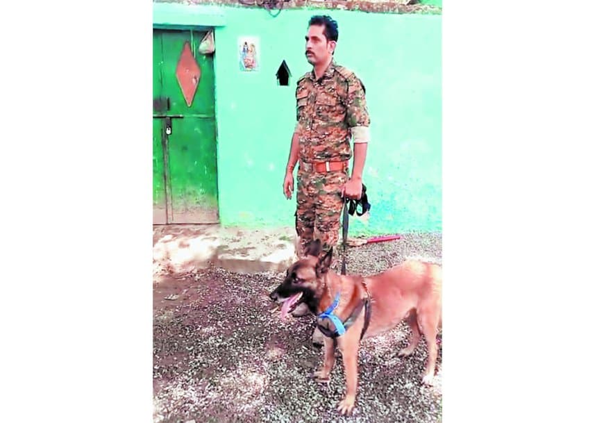 डॉग स्क्वाड की मदद से वन्यजीव शिकार मामले में अहम सुराग मिले