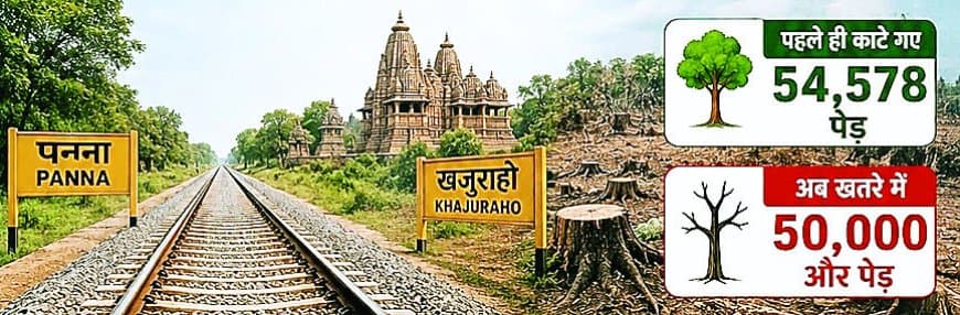 54 हजार पेड़ कटने के बाद दोबारा सर्वे अब 50 हजार और पेड़ों पर संकट