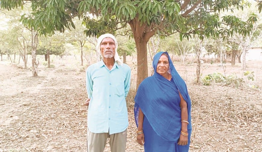 निसंतान दंपती ने बंजर जमीन पर उगाया दस हजार वृक्षों का वन