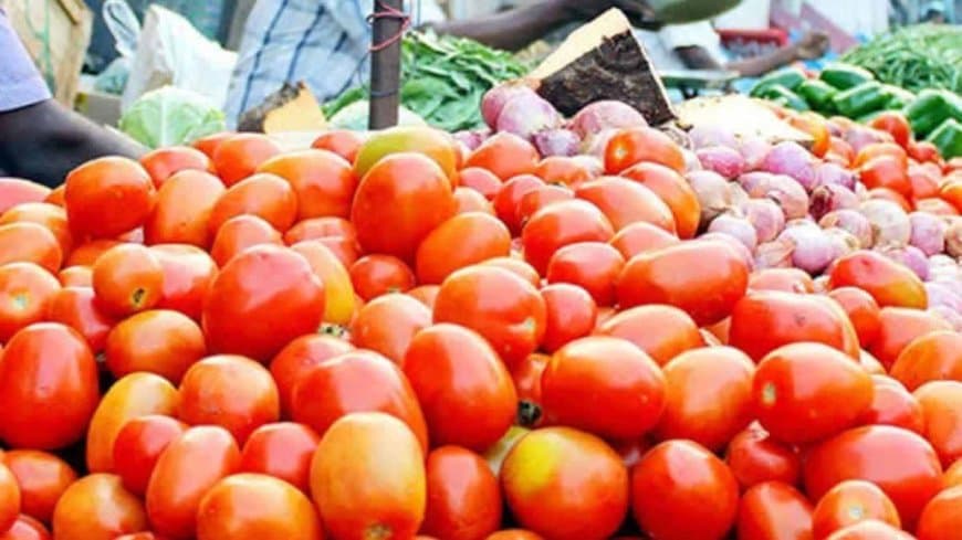 मध्यप्रदेश में महंगाई की मार: टमाटर हुआ और लाल... गिलकी-लौकी-पालक भी थाली से होने लगी गायब