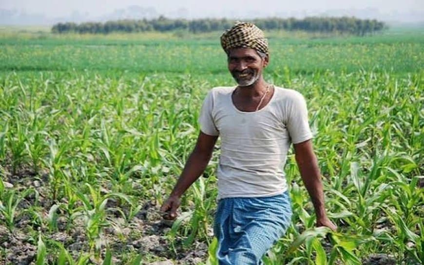 मध्यप्रदेश की बड़ी उपलब्धि: एक साथ 12 उद्यानिकी फसलों को मिला GI टैग