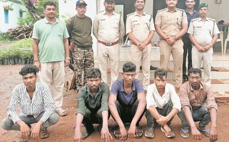 करंट लगाकर किया बाघ का शिकार, पांच गिरफ्तार, दांत-नाखून बरामद, जांच जारी अब भी