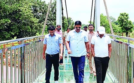 बृहस्पति कुंड ग्लास ब्रिज खुला, पन्ना को मिली रोमांचक पर्यटन की नई पहचान आज