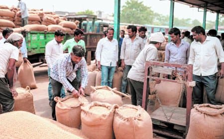 सतना मंडी में समाप्त लाइसेंसों पर जारी व्यापार, निगरानी और कार्रवाई व्यवस्था पर गंभीर सवाल