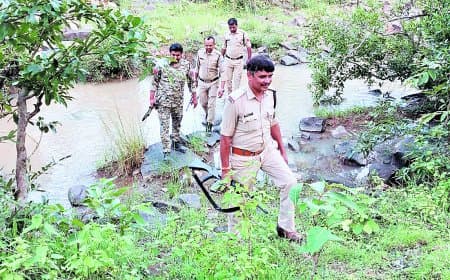 एमपी-यूपी सीमा के जंगलों में संदिग्ध असलहाधारियों की आहट, दोनों राज्यों की पुलिस ने शुरू की सर्चिंग