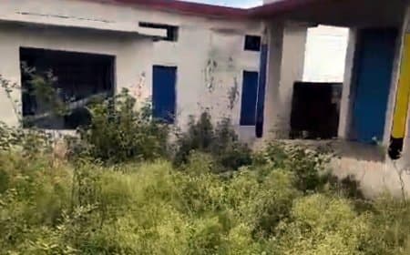 बाल वाटिका में जहरीली गाजर घास के बीच मासूम, पीएम श्री स्कूल की व्यवस्थाओं पर उठे सवाल