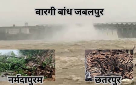Madhya Pradesh Monsoon Update: सीधी-यूपी मार्ग बंद, टीकमगढ़-दमोह में रेड अलर्ट, बरगी बांध के गेट खुले