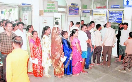 सतना में डेंगू-मलेरिया के बाद स्क्रब टाइफस का खतरा, 15 मरीजों में संक्रमण की पुष्टि
