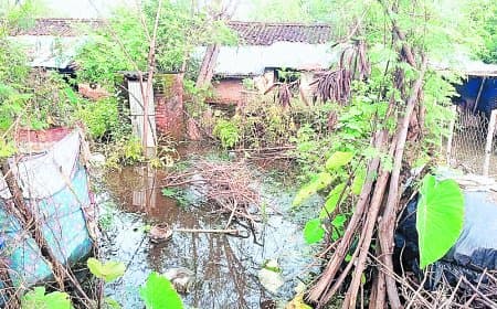 सतना में सामान्य से 61 फीसदी ज्यादा बारिश, उचेहरा में तालाब फूटा, दर्जनों परिवार हुए बेघर