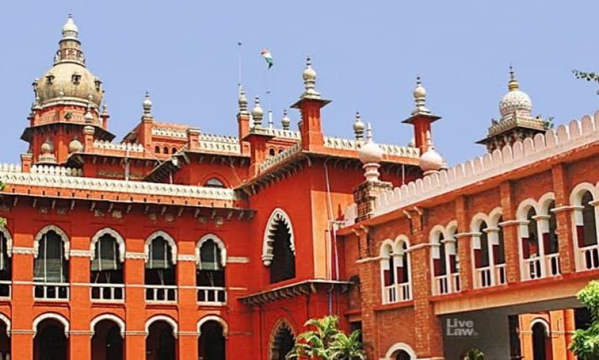 Madras High Court News: पत्नी कोई 'पग कुत्ता' नहीं कि हर जगह पीछे चले, मद्रास हाईकोर्ट की बेहद अहम टिप्पणी