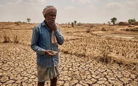 सूखे की जद में मध्य प्रदेश: पांच साल में सबसे कम बारिश, कृषि पर बड़ा संकट...घटेगी गेहूं-सोयाबीन की पैदावार 