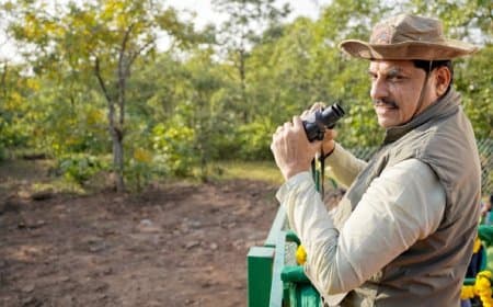 वीरांगना दुर्गावती टाइगर रिजर्व बना मध्य प्रदेश में चीतों का तीसरा नया ठिकाना, कूनो से लाए गए दो चीतों को छोड़ा गया