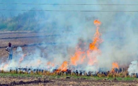 केंद्र का सख्त रुख: मध्य प्रदेश समेत पांच राज्यों को पराली जलाने पर रोक लगाने के निर्देश, मिशन मोड में करें काम 