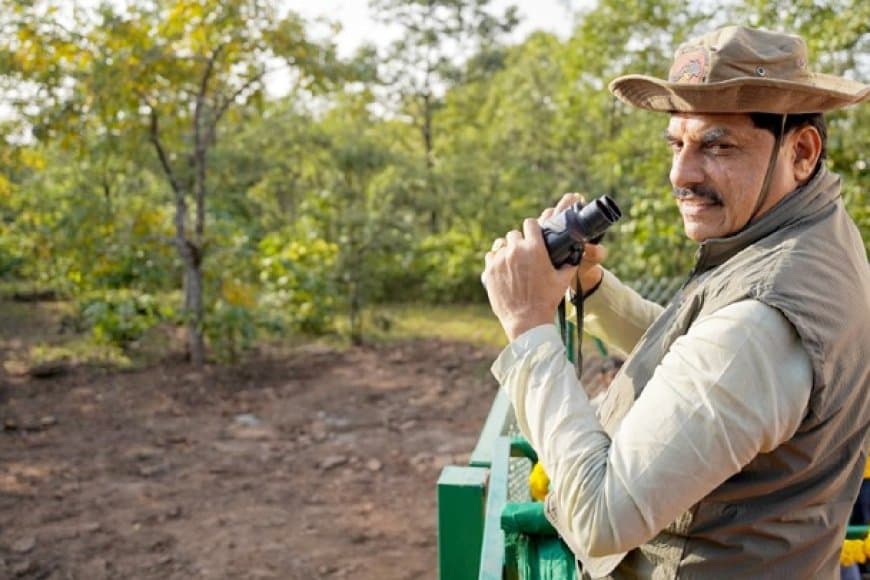 वीरांगना दुर्गावती टाइगर रिजर्व बना मध्य प्रदेश में चीतों का तीसरा नया ठिकाना, कूनो से लाए गए दो चीतों को छोड़ा गया