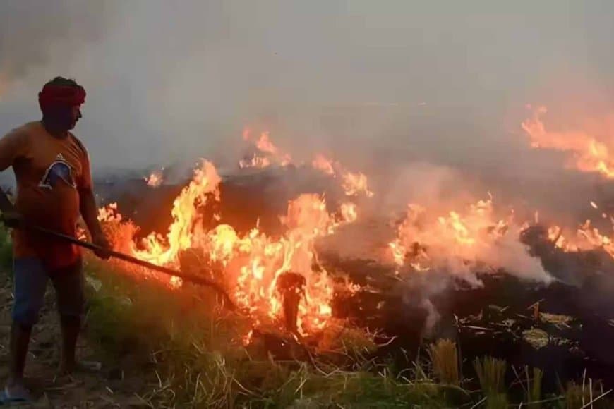 सावधान! पराली जलाने में देश में सबसे आगे मध्यप्रदेश, प्रदूषण से बढ़ रहा फेफड़ों और श्वसन स्वास्थ्य पर खतरा