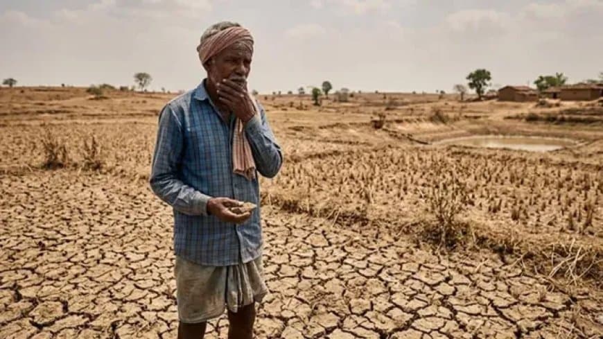 सूखे की जद में मध्य प्रदेश: पांच साल में सबसे कम बारिश, कृषि पर बड़ा संकट...घटेगी गेहूं-सोयाबीन की पैदावार 