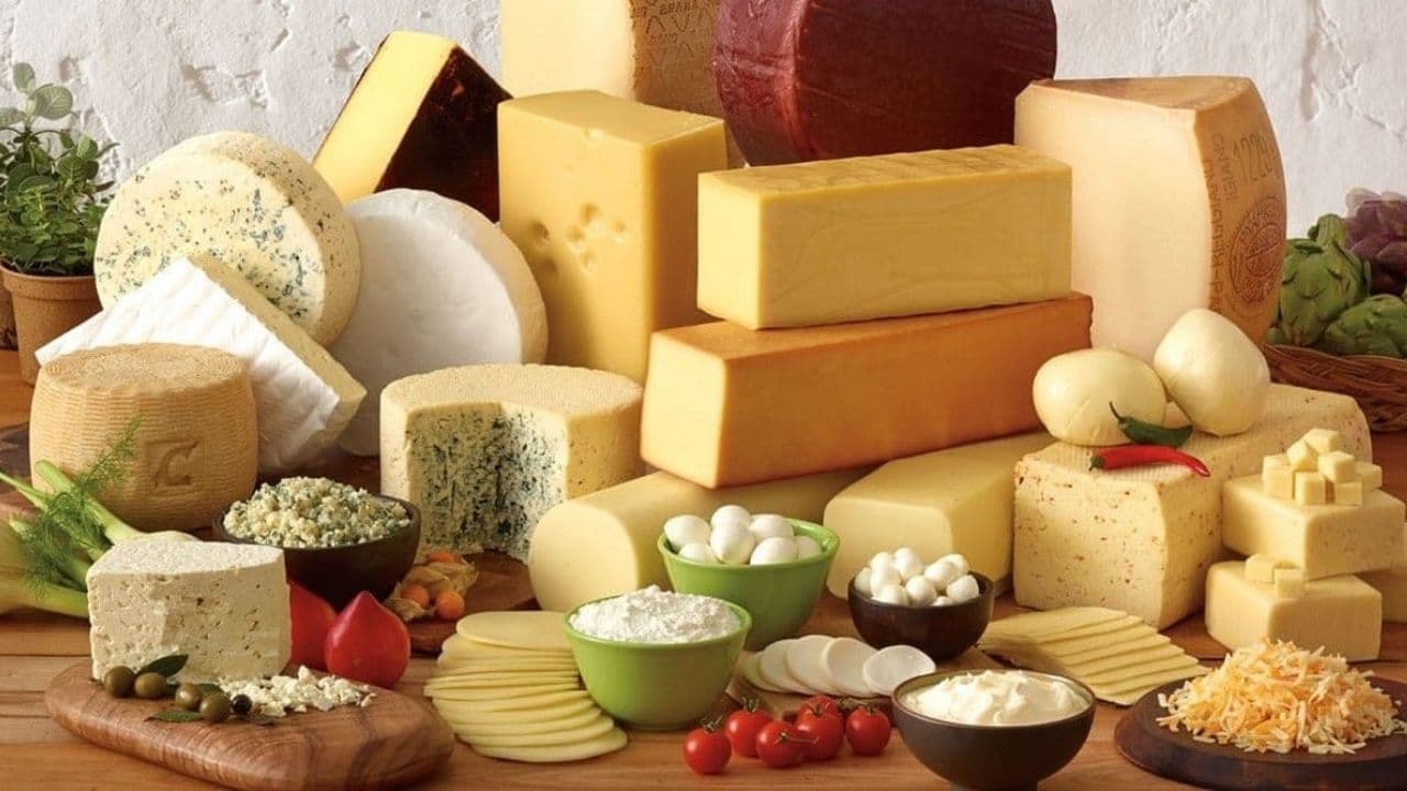 World Top Expensive Cheese: Creamy Slurpiness That Delight Your Palate
