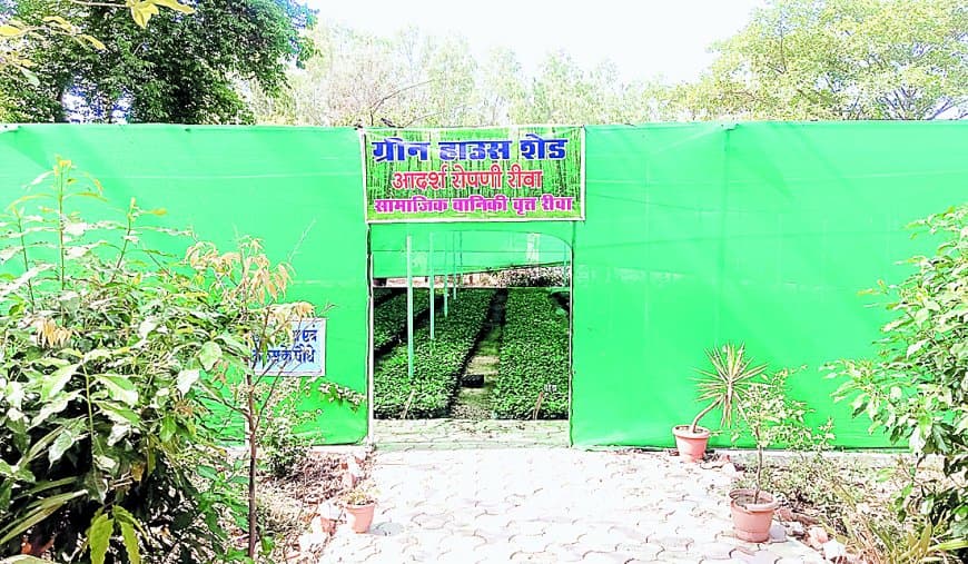 96 लाख पौधों की डिमांड, 87 लाख का उठाव — फिर भी घने क्यों नहीं हो रहे जंगल? 96 लाख पौधों की डिमांड, 87 लाख का उठाव — फिर भी घने क्यों नहीं हो रहे जंगल?