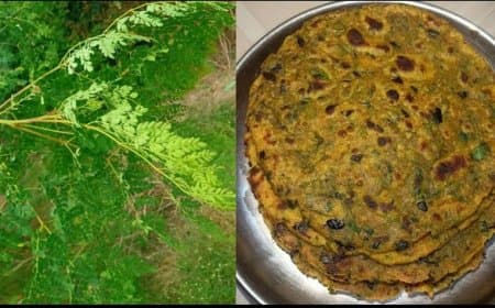 सहजन के पत्तों से बनाएं खस्ता पराठे, इन्हें खाने से मिलता है शरीर को भरपूर पोषण