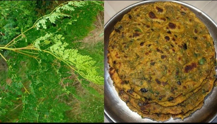 सहजन के पत्तों से बनाएं खस्ता पराठे, इन्हें खाने से मिलता है शरीर को भरपूर पोषण सहजन के पत्तों से बनाएं खस्ता पराठे, इन्हें खाने से मिलता है शरीर को भरपूर पोषण