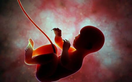 सावधान! प्रदूषण से गर्भ में पल रहे शिशु का भी घुट रहा दम