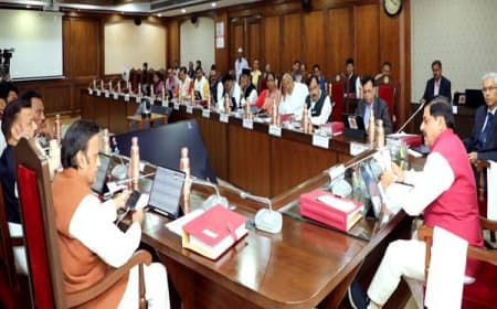 कैबिनेट: पचमढ़ी नजूल क्षेत्र को अभयारण्य से बाहर करने की मंजूरी