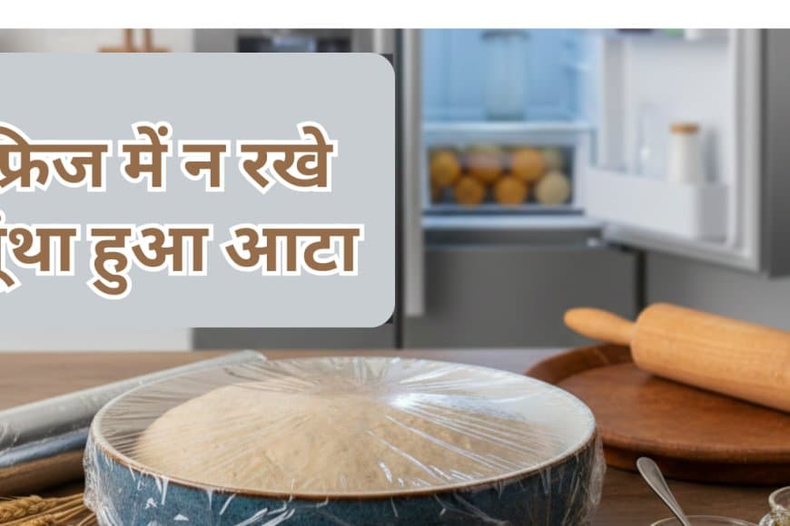 फ्रिज में रखा गूंथा हुआ आटा: सेहत के लिए वरदान या 'साइलेंट किलर'? जानें हकीकत