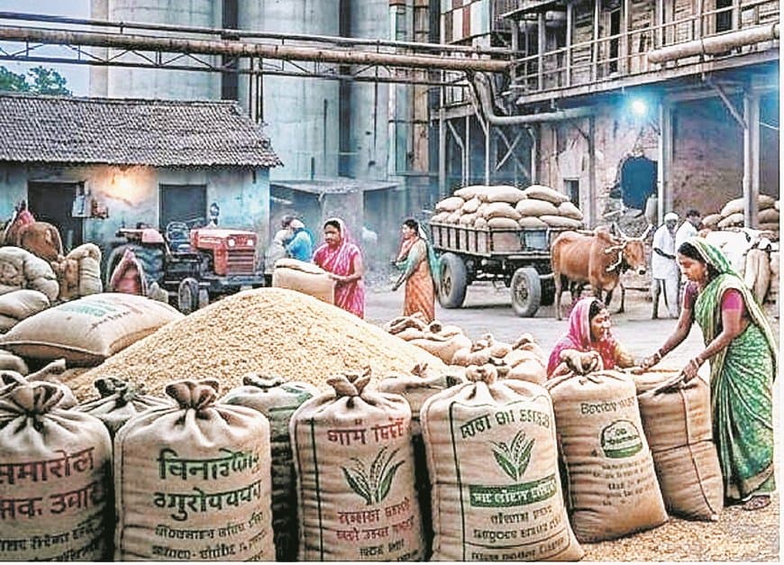 67% नियम बनाम 32% उत्पादन, धान मिलिंग नीति पर संकट और सवाल खड़े 67% नियम बनाम 32% उत्पादन, धान मिलिंग नीति पर संकट और सवाल खड़े