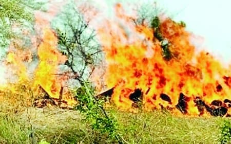 पन्ना हादसे में मृत पांच मजदूरों के अंतिम संस्कार में उमड़ा भारी जनसैलाब पन्ना हादसे में मृत पांच मजदूरों के अंतिम संस्कार में उमड़ा भारी जनसैलाब