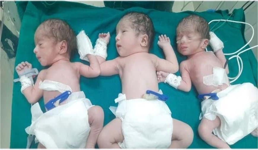राष्ट्रीय स्वास्थ्य सर्वेक्षण ने खोली पोल... मध्यप्रदेश के सरकारी अस्पतालों में 10 फीसदी सिजेरियन जन्म राष्ट्रीय स्वास्थ्य सर्वेक्षण ने खोली पोल... मध्यप्रदेश के सरकारी अस्पतालों में 10 फीसदी सिजेरियन जन्म