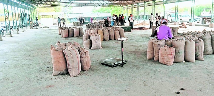 मंडी में तिल-दालों की तेजी, किसानों को लाभ उपभोक्ताओं की चिंता बढ़ी मंडी में तिल-दालों की तेजी, किसानों को लाभ उपभोक्ताओं की चिंता बढ़ी