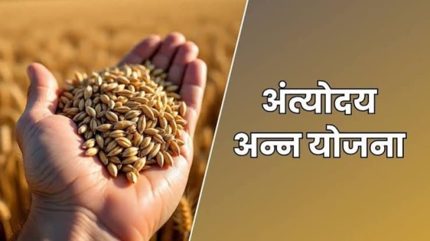 राशन व्यवस्था में बड़ा बदलाव: अब 'प्रति व्यक्ति' मिलेगा अनाज, केंद्र सरकार ने जारी किया नया मसौदा राशन व्यवस्था में बड़ा बदलाव: अब 'प्रति व्यक्ति' मिलेगा अनाज, केंद्र सरकार ने जारी किया नया मसौदा