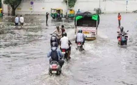 मध्य प्रदेश में मानसून का असर: पूरे राज्य में झमाझम बारिश, कई जिलों में बाढ़ के हालात मध्य प्रदेश में मानसून का असर: पूरे राज्य में झमाझम बारिश, कई जिलों में बाढ़ के हालात