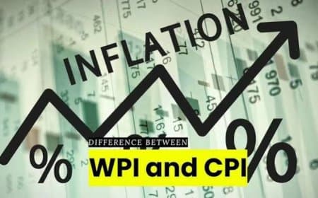 थोक मूल्य सूचकांक की जगह आएगा उत्पादक मूल्य सूचकांक, जानिए WPI और PPI में क्या है फर्क थोक मूल्य सूचकांक की जगह आएगा उत्पादक मूल्य सूचकांक, जानिए WPI और PPI में क्या है फर्क