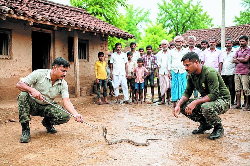 मानसूनी बारिश से सतना में बढ़े सर्प रेस्क्यू, प्रतिदिन चालीस कॉलों ने बढ़ाई चिंता जिम्मेदारी मानसूनी बारिश से सतना में बढ़े सर्प रेस्क्यू, प्रतिदिन चालीस कॉलों ने बढ़ाई चिंता जिम्मेदारी