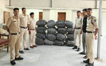 MP : अवैध मादक पदार्थों के खिलाफ ताबड़तोड़ कार्रवाई, ₹5.41 करोड़ के ड्रग्स और वाहन जब्त