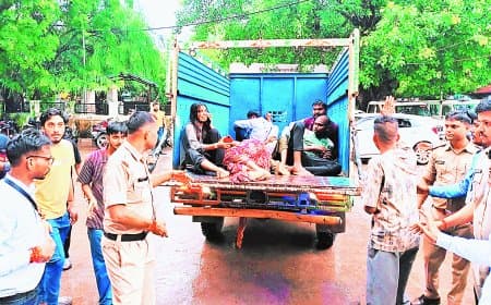 रीवा-सीधी मार्ग पर भीषण बस-बल्कर भिड़ंत, पांच की मौत, 20 घायल; तीन आईसीयू में भर्ती रीवा-सीधी मार्ग पर भीषण बस-बल्कर भिड़ंत, पांच की मौत, 20 घायल; तीन आईसीयू में भर्ती