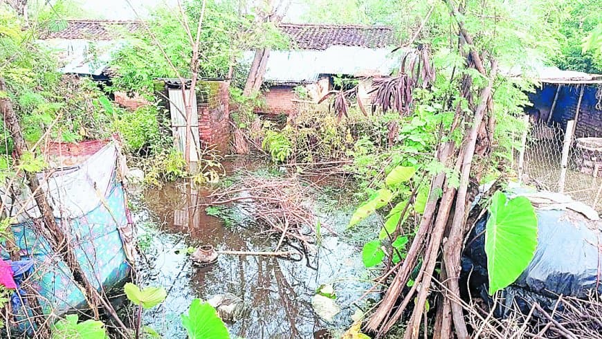 सतना में सामान्य से 61 फीसदी ज्यादा बारिश, उचेहरा में तालाब फूटा, दर्जनों परिवार हुए बेघर सतना में सामान्य से 61 फीसदी ज्यादा बारिश, उचेहरा में तालाब फूटा, दर्जनों परिवार हुए बेघर