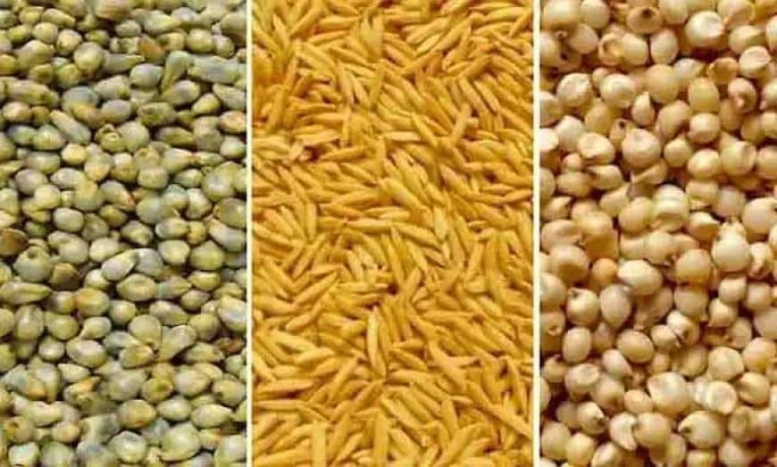 समर्थन मूल्य पर धान, ज्वार एवं बाजरा उपार्जन के लिए 3 लाख से अधिक किसानों ने कराया पंजीयन समर्थन मूल्य पर धान, ज्वार एवं बाजरा उपार्जन के लिए 3 लाख से अधिक किसानों ने कराया पंजीयन