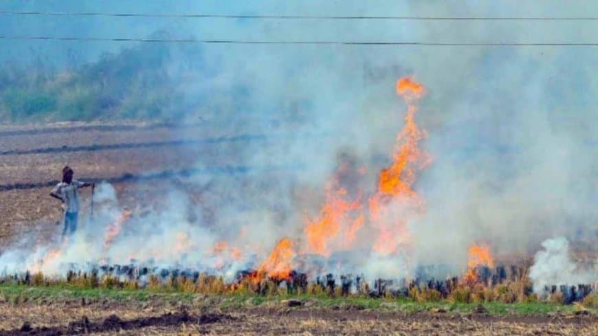 केंद्र का सख्त रुख: मध्य प्रदेश समेत पांच राज्यों को पराली जलाने पर रोक लगाने के निर्देश, मिशन मोड में करें काम केंद्र का सख्त रुख: मध्य प्रदेश समेत पांच राज्यों को पराली जलाने पर रोक लगाने के निर्देश, मिशन मोड में करें काम