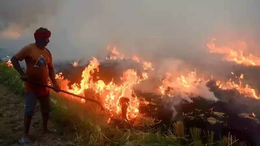 सावधान! पराली जलाने में देश में सबसे आगे मध्यप्रदेश, प्रदूषण से बढ़ रहा फेफड़ों और श्वसन स्वास्थ्य पर खतरा सावधान! पराली जलाने में देश में सबसे आगे मध्यप्रदेश, प्रदूषण से बढ़ रहा फेफड़ों और श्वसन स्वास्थ्य पर खतरा